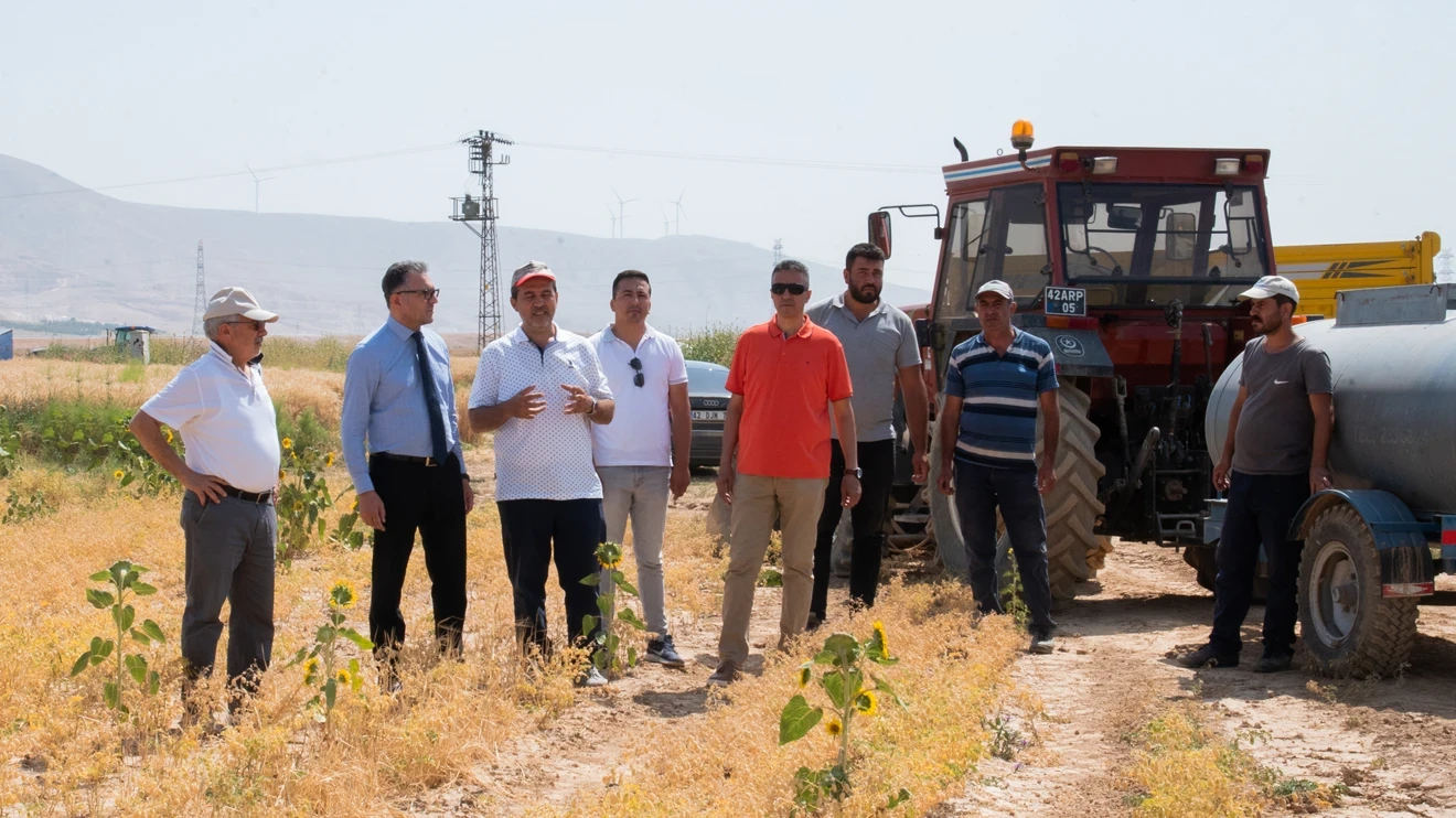 Wheat harvest has started at Selçuk University Sarıcalar Research and Application Farm